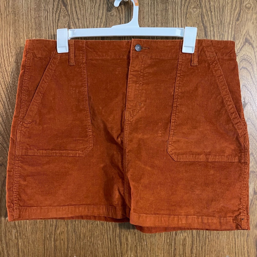 Burnt orange corduroy mini skirt